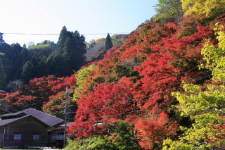 Yoshinoyama